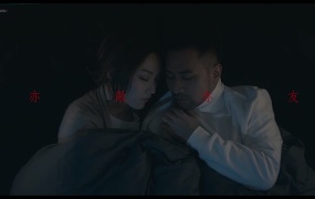 阎奕格 - 亦敌亦友(WEB-119M)