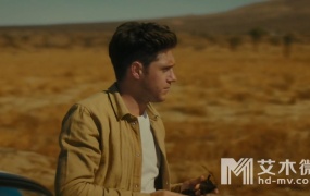 Niall Horan - On The Loose (WEB-1080P-139M)
