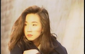 林忆莲 - 老歌MV合集(WEB-687M)