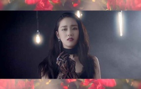 4Minute - Hate (Melon-269M)