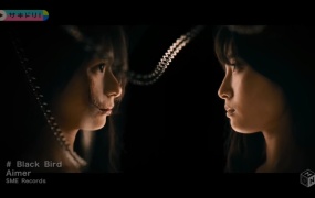 Aimer - Black Bird 日漫改真人电影《深红累之渊》主题曲(Web-1080P-154M)