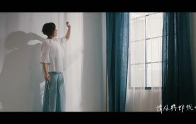 江美琪 - 陀螺(WEB-71M)