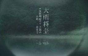 徐佳莹 - 大雨将至(电视剧《女医·明妃传》主题曲)(WEB-166M)
