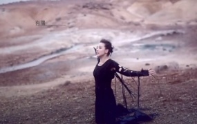 林忆莲 - 柿子(TS-43M)