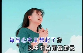 孟庭苇 - 典藏特辑MV(MKV-3.78G)