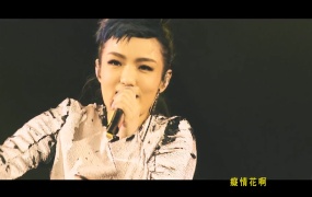 徐佳莹&伍佰 - 树枝孤鸟 官方现场live 1080P