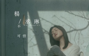 杨丞琳 - 不可惜 官方完整版MV