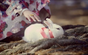 Davichi - Turtle (Bugs - 291M)