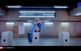 SECRET NUMBER - Who Dis (Bugs – 725.7M)