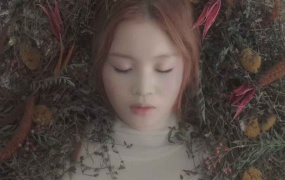 Bom Park(2NE1)&LEE HI -  All I Want For Christmas Is You(Melon-271M)