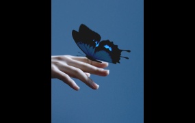 本月少女 朴彩媛 LOONA (Go Won) - One & Only (Bugs-690M)