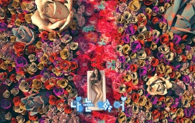 宣美Sunmi - Gashina(WEB-1.5G)