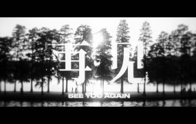 达达乐队 - 再.见(Web-1080P-117M)