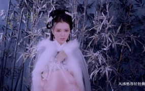 阿兰 - 晚(Web-1080P-82.2M)