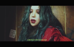 张惠妹 -戒断(WEB-80M)