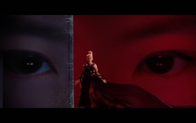Christina Aguilera - Loyal Brave True(Web-1080P-78M)