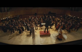 Clean Bandit ft. Zara Larsson - Symphony(Web-1080P-242M)