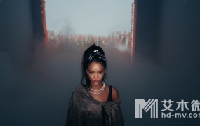 Calvin Harris ft. Rihanna - This Is What You Came For (ProRes-1080p-4.51G)