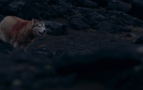 David Guetta Feat. Sia - She Wolf (Master-1080p-2.67G)