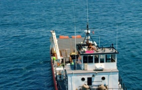 Rihanna – B***h Better Have My Money ( ProRes-1080p-7.83G)