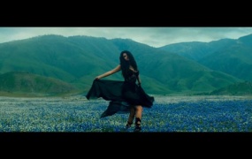 Selena Gomez - Come & Get It(ProRes-1080p-5.87G)