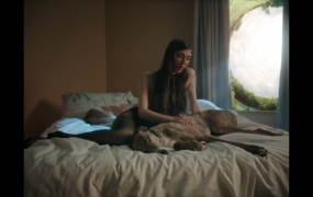 Caroline Polachek - Door(WEB-1080P-264M)