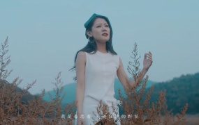 梦然 - 野花 官方完整版MV(WEB-1080P-122M)
