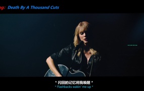 恋人:泰勒斯威夫特巴黎演唱会 Taylor Swift: City of Lover Concert (2020) mkv+2.5G.中英特效字幕