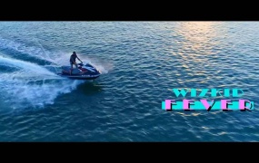 Wizkid - Fever (WEB-1080P-141M)