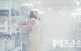 Selena Gomez,Gucci Mane - Fetish (WEB-1080P-137M)