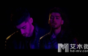 Snakehips,ZAYN - Cruel (TS-1080P-151M)