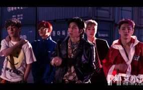 VANNER - FORM (Bugs-1080P-882M)