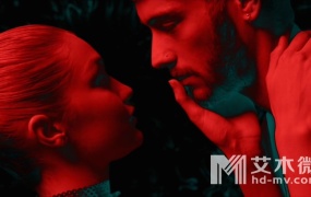 ZAYN - PILLOWTALK (WEB-1080P-126M)