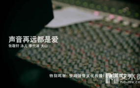 张敬轩,泳儿,李代沫,大山 - 声音再远都是爱 (master-1080p-920M)