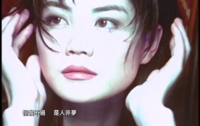 王菲 - 如风(WEB-480P-36.5M)