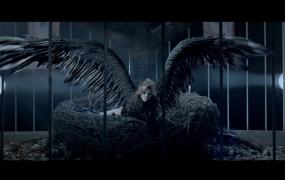 Miley Cyrus - Can't Be Tamed (Master-1080p-2.3G)