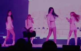 BLACKPINK - DDU-DU DDU-DU(2018“大阪巨蛋特别决赛”)(M2TS-1080-798M)