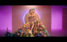 Katy Perry - Never Worn White(web-1080p-520M)