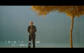 平安 - 归来(WEB-1080P-161M)