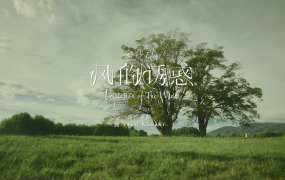 金莎 - 风的诱惑(Web –1080P – 122M)