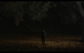 Avicii - Hey Brother(WEB-1080P-144M)