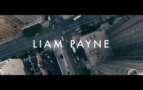 Jonas Blue, Liam Payne, Lennon Stella - Polaroid (WEB-116M)