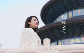 黄磊,黄少艾,宋轶,张一山,刘惜君,白举纲,于谦 - 北京说(WEB-92M)