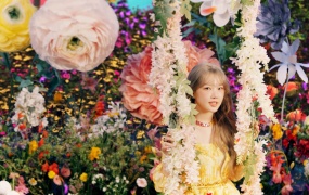 YERIN - ARIA(BUGS-1.38G)