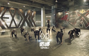 EXO - 咆哮(Growl) (Chinese Ver. BluRay Remux AVC-mp4-2.13G)
