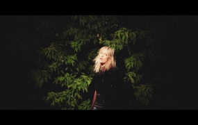 Metric - False Dichotomy(WEB-182M)