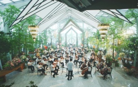 Seoul Philharmonic Orchestra - Feel My Rhythm (Orchestra Ver.)(MKV-555M)