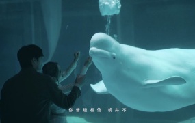 G.E.M.邓紫棋 - FIND YOU(MP4-158M)