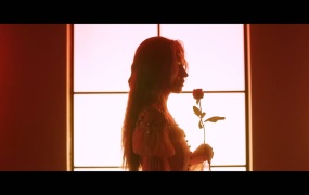 PRIMROSE - PRIMROSE(MKV-338M)