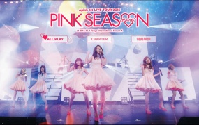A Pink组合 Apink 1st LIVE TOUR 2015 PINK SEASON 日本巡回演唱会《BDMV 37.2G》